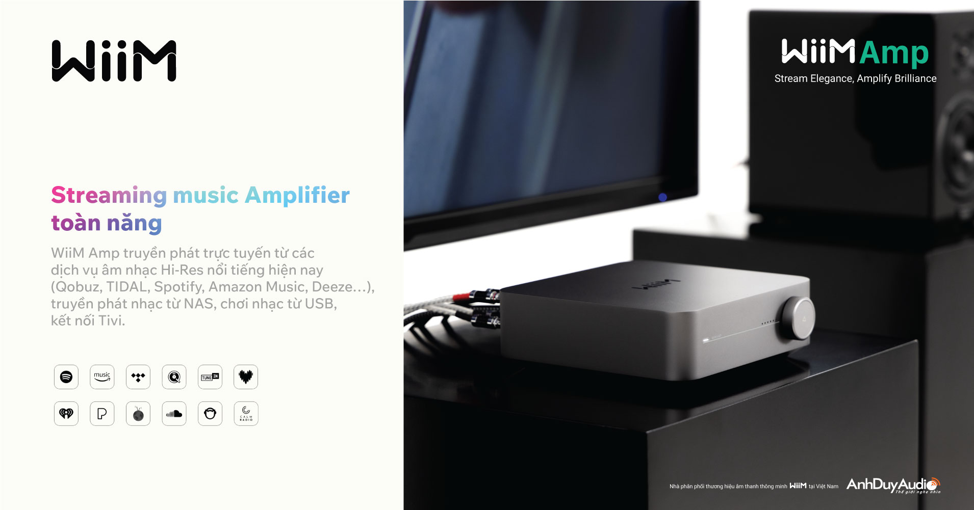 Streaming Music Amplifier WiiM Amp | Anh Duy Audio