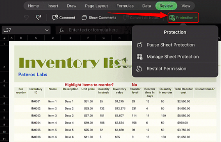 Excel on iPad, with the Protection menu showing the options to pause, manage, or restrict protections.